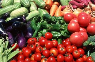 Магазин фрукты овощи: бизнес-план Какие овощи и фрукты приносят прибыль бизнес