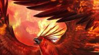 Феникс – птица, которая символизирует вечное обновление и бессмертие Есть ли в природе птица феникс