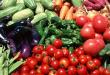 Магазин фрукты овощи: бизнес-план Какие овощи и фрукты приносят прибыль бизнес
